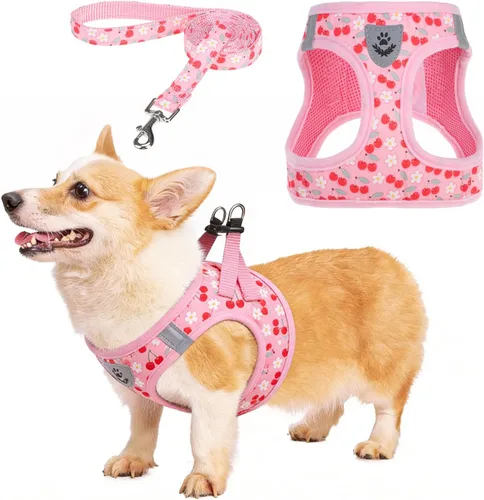 Vista 24 de Arnés de malla suave para cachorros – Juego de arnés y correa para perros pequeños, ajustable y cómodo chaleco reflectante acolchado para cachorros