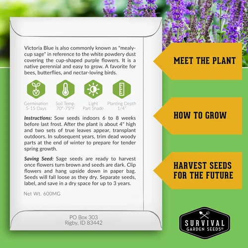Vista 2 de Victoria - Semillas de salvia azul para plantar – Salvia Farinacea – Flores polinizadoras para bordes y jardines de cabaña – Semillas de jardín
