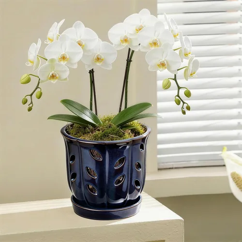 Vista 6 de FoldTier Paquete de 2 macetas de cerámica para orquídeas de 6.5 pulgadas