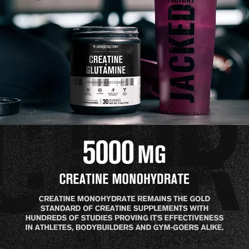 Vista 3 de Jacked Factory Creatina + glutamina - Suplemento de creatina con L-glutamina para recuperación muscular, crecimiento muscular, mayor fuerza