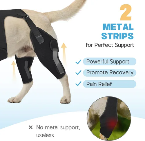 Vista 2 de Rodilleras para perro para soporte de pierna trasera, soporte ACL Negro