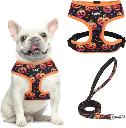 Vista 44 de PUPTECK Juego de arnés y correa de malla suave para perro, cachorro y gato, cómodo chaleco acolchado sin tirones, azul Pascua, S
