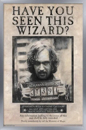 Vista 12 de Trends International El Mundo Mágico: Harry Potter - Póster de Buscado de Sirius Black, Póster de Pared, 14.725" x 22.375", Versión con Marco