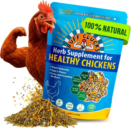 Vista 7 de Buff Clucks Suplemento de hierbas de fórmula de pollo para pollitos bebé, mezcla botánica totalmente natural para el bienestar diario, calidad