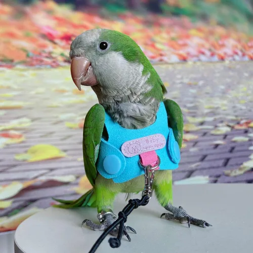 Vista 4 de Chaleco de arnés de vuelo de pájaro, traje de vuelo de loro con correa para periquitos, cacatúas, conures budgies, ropa de vuelo de pájaros