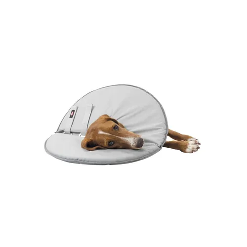 Vista 12 de Collar Isabelino para Perros Trixie 19423 Gris Espuma