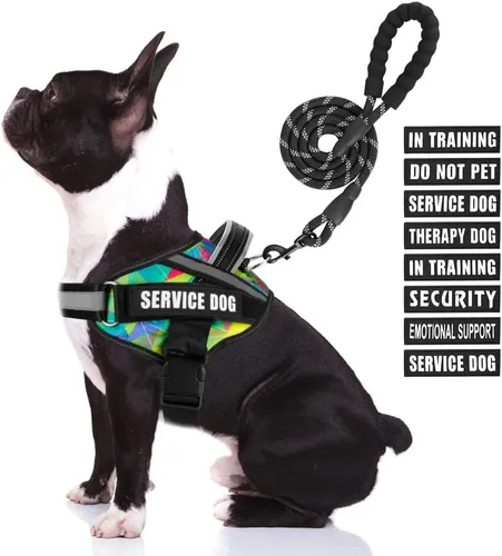 Vista 44 de Juego de Chaleco y Correa para Perro de Servicio, Arnés de Entrenamiento Animire para Perro con 10 Parches para Perros, Correa Reflectante