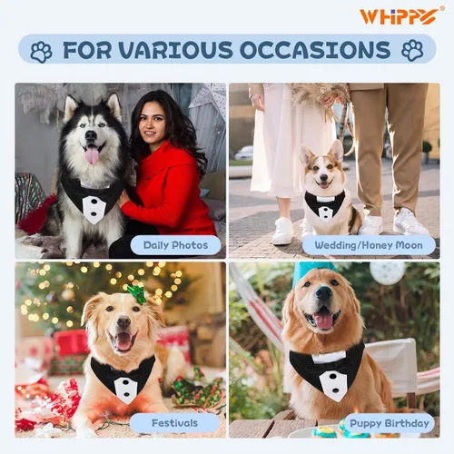 Vista 6 de Collar tipo bandana de esmoquin con pajarita para mascotas, disfraz formal de boda, disfraz formal de compromiso, cumpleaños, traje de mascotas