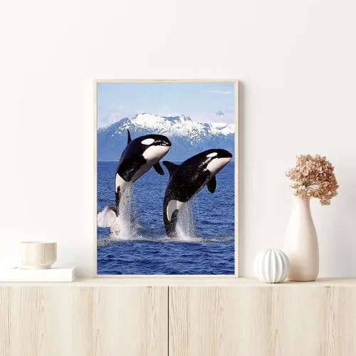 Vista 2 de DVWIVGY Pintura con diamantes, ballena asesina, orca, azul, océano, animales, pintura de diamantes por números, arte de gemas para decoración