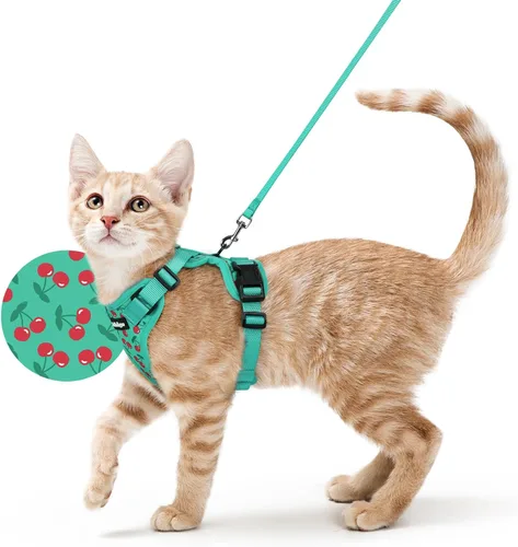 Vista 16 de rabbitgoo Cat Harness and Leash Set, Escape Proof Vest, XXS, Berry Pounce Soft Breathable Mesh, No-choke Adjustable Fit, Snap Buckles, Sturdy