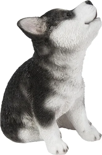 Vista 2 de Husky Siberiano Cachorro Aullando