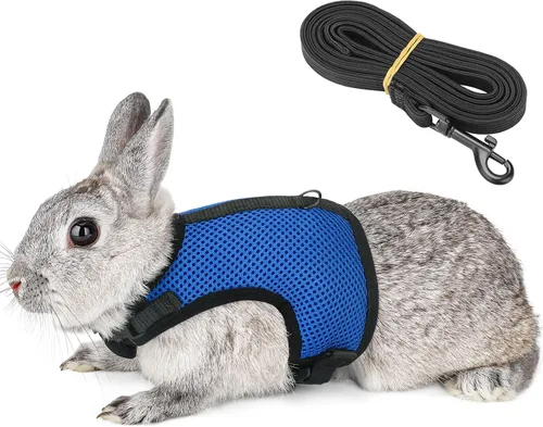Vista 7 de PETTOM Arnés para conejos con correa elástica, lindo arnés ajustable con hebilla, chaleco de malla transpirable para gatitos y mascotas pequeñas