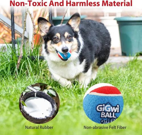 Vista 4 de Gigwi Pelota de tenis chirriante para perros, pelota interactiva para perros pequeños y medianos, juguete de goma colorido y de rebote alto de 2.5