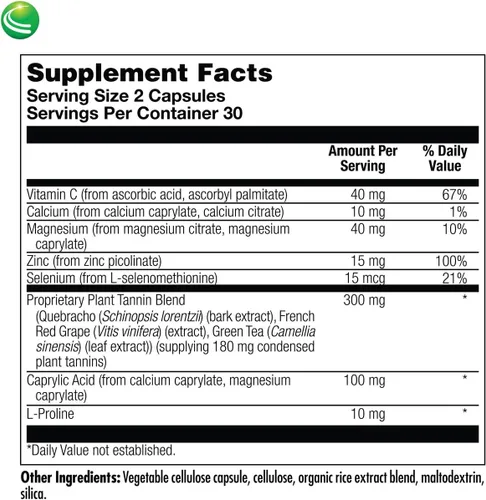 Vista 5 de Nutra Biogenesis DysbioX, pastillas de té verde, 60 cápsulas veganas