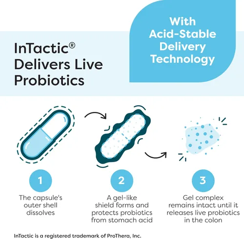 Vista 5 de Klaire Labs Ther-Biotic Fórmula para mujeres, cápsulas vegetarianas, 60