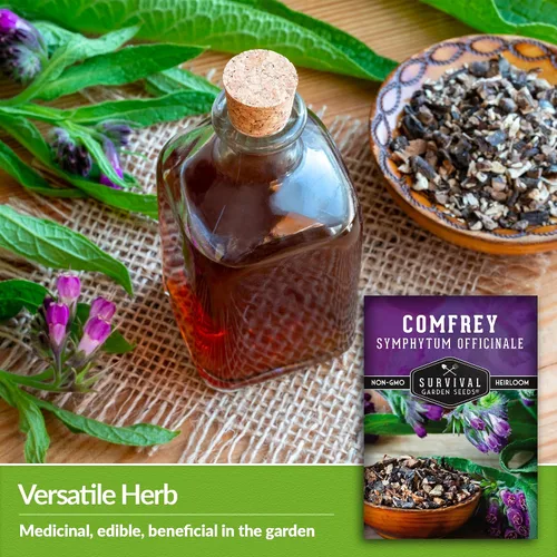 Vista 4 de Semillas de consuelda - Symphytum Officinale - Hierba medicinal perenne (paquete de 1) True Slippery Root for Compost Tea & Natural Skincare