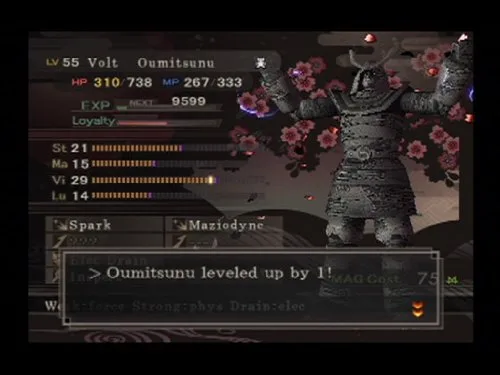 Vista 2 de Shin Megami Tensei Devil Summoner - PlayStation 2