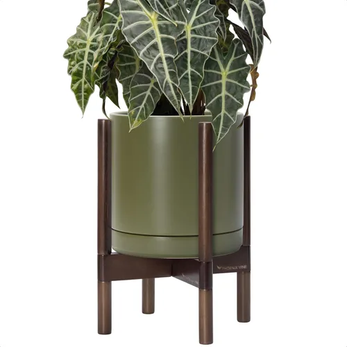 Vista 15 de D'vine Dev Maceta de cerámica con soporte de ébano – Maceta redonda moderna de 8 pulgadas con soporte para maceta de madera, color negro, 55-B-M-2