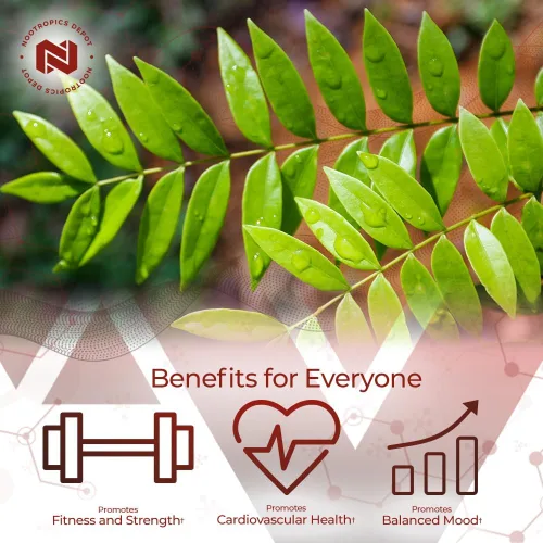 Vista 3 de Nootropics Depot Cápsulas de extracto de Tongkat Ali 200 mg 60 unidades 2% de Eurycomanona por HPTLC Extracto de raíz de Eurycoma longifolia