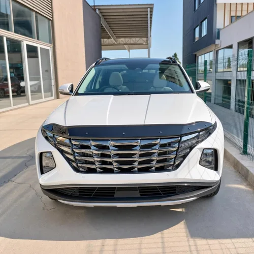 Vista 3 de BMY Deflector de capó/Protector frontal contra insectos Compatible con Hyundai Tucson 2022-2025 Protección contra partículas e insectos