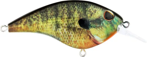 Vista 63 de Berkley Frittside Fishing Hard Bait Bronceado en aerosol