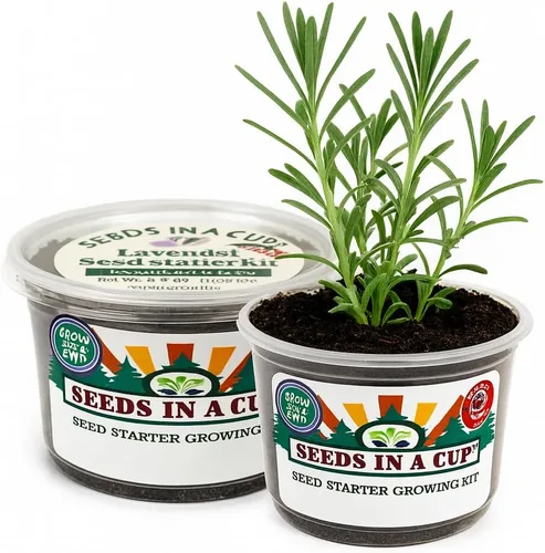 Vista 5 de Kit de cultivo de hierbas Iniciador de jardín de hierbas para interiores Semillas y tierra de primera calidad Paquete de 3 hierbas Múltiples