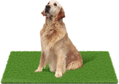 Vista 11 de MAYSHINE Césped artificial para perros, césped artificial para interiores y exteriores, tapete para perros con cuchillas suaves, césped artificial