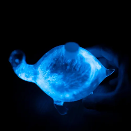 Vista 9 de Microacuario de tortuga bioluminiscente bioluminiscente de tortuga de vidrio Relleno de plancton bioluminiscente brillante