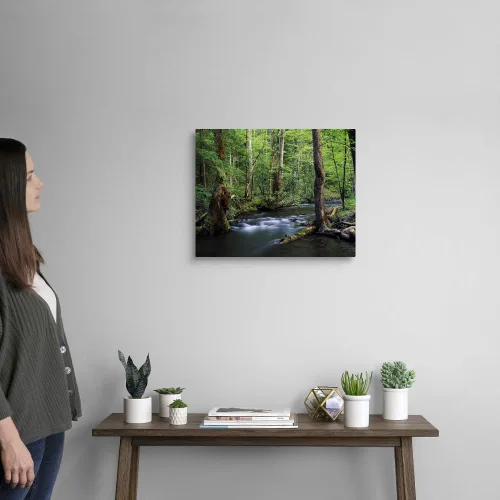 Vista 2 de Corriente precipitada a través del bosque denso, impresión artística de la pared del lienzo, obra