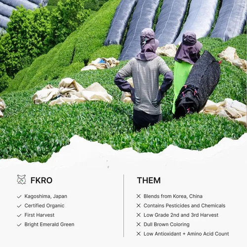 Vista 4 de FKRO Té Orgánico Maestro Grado Ceremonial Japonés Matcha Verde en Polvo. Primera Cosecha, Origen Único, Sin Azúcar. Enviado Fresco desde Japón Cada