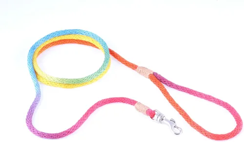 Vista 54 de Alvalley Correa para perros estilo broche – Correa de nailon estilo broche para perros – Fácil de manejar – Perfecto para perros pequeños, medianos