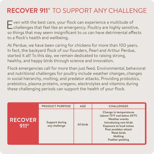Vista 2 de FlockLeader Recover 911, Suplemento de Agua Probiótico para Estrés Severo para Pollos con Electrolitos, Prebióticos y Orégano, para la Muda, Clima