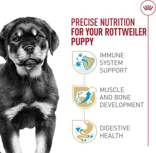 Vista 4 de ROYAL CANIN Rottweiler - Alimento seco para cachorros, bolsa de 30 libras