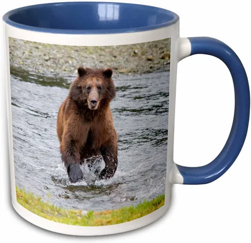 Vista 10 de 3dRose Brown Bear chases After a Salmon Dinner 11oz Two-Tone Black Mug