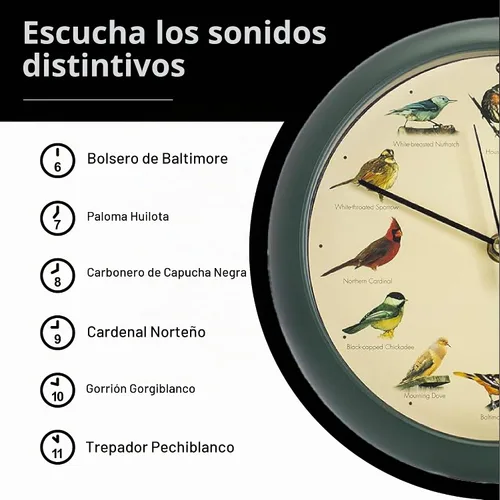 Vista 6 de Mark Feldstein, The Original Singing Bird Clock, 8 pulgadas, verde