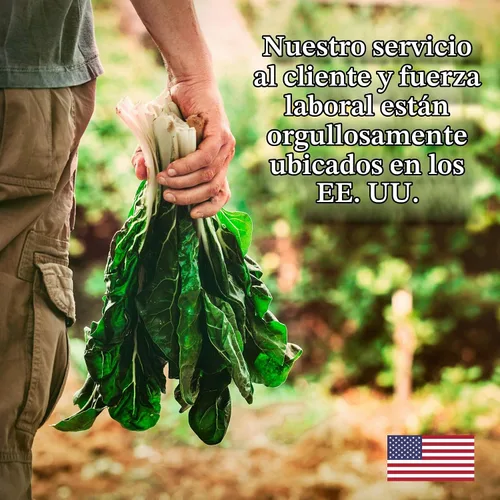 Vista 7 de Mountain Valley Seed Co Semillas de trigo sarraceno, 1 libra ~ 15,000