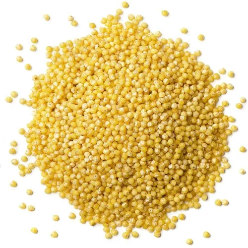 Vista 3 de Food to Live Mijo de cáscara orgánica, 1 libra, semillas de grano entero, sin OMG, Kosher, crudo, a granel, producto de los Estados Unidos