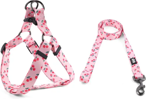 Vista 16 de QQPETS Juego de correa de arnés para perro, ajustable, resistente, sin tirones, arnés halter para perros de razas pequeñas, medianas y grandes, clip