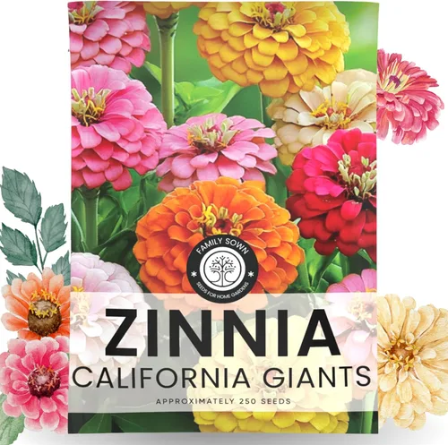 Vista 8 de Zinnia California Giants - Paquete grande de 1 onza - 3,000 semillas de flores para plantar - Zinnia elegans
