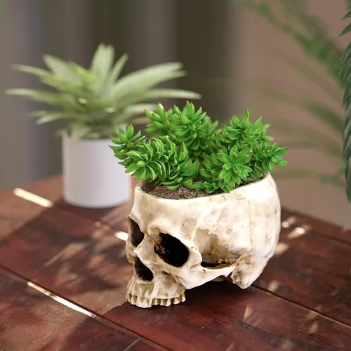 Vista 5 de READAEER Maceta de Calavera con Orificio de Drenaje, Maceta de Flores en Forma de Calavera de Resina/Tazón para Dulces, Decoración Gótica