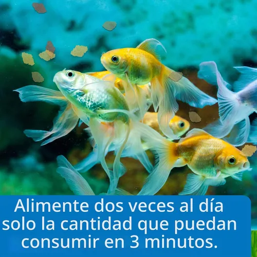 Vista 3 de API GOLDFISH FLAKES - Contenedor de comida para pescado, 0.36 onzas