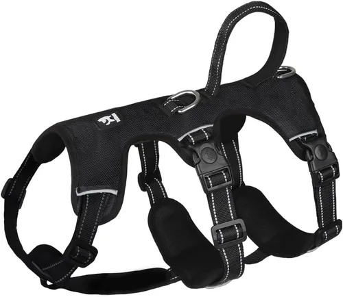 Vista 12 de FEimaX Arnés para perro sin tirones, chaleco acolchado suave para perro con 3 clips para la correa y asa de fácil control, reflectante ajustable sin