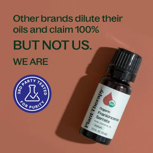 Vista 5 de Plant Therapy Aceite esencial de incienso serrata orgánico 100% puro, Certificación orgánica USDA, sin diluir, aromaterapia natural, grado