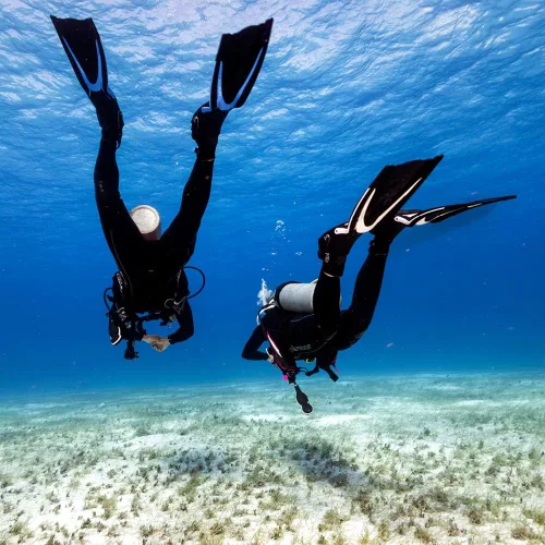 Vista 5 de TUSA SF-0104 Hyflex Switch Buceo Aletas