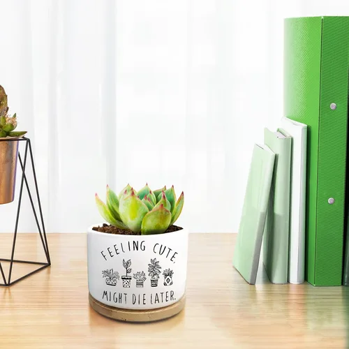 Vista 2 de Maceta Divertida para Plantas Suculentas, Maceta Pequeña para Plantas de Interior, Lindas Macetas de Cerámica para Cactus con Drenaje, Decoración