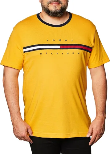 Vista 28 de Tommy Hilfiger Mens Short Sleeve Tino T-Shirt Manzana roja