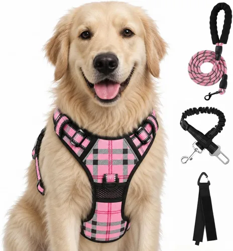 Vista 57 de FURRYFECTION - Arnés para perro a cuadros con correa y cinturón de Rosa