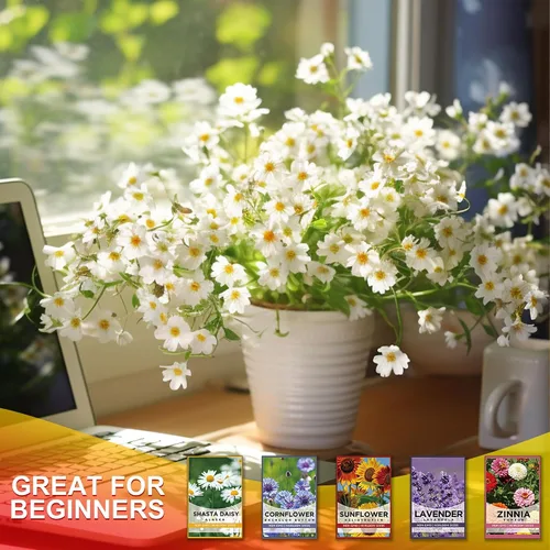 Vista 3 de Meekear Kit de 5 – Creciendo en margarita Shasta, aciano, girasol, zinnia, lavanda para interiores y exteriores, jardín, regalos de bricolaje