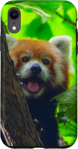 Vista 25 de Cute Funny Red Panda Smiling Tree Animal Nature Lover Gift Case for iPhone 17