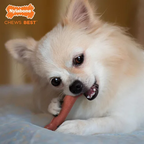 Vista 2 de Nylabone Power Chew Juguete masticable duradero con sabor, para perros extrapequeños, para masticadores agresivos, indestructibles, sabor tocino